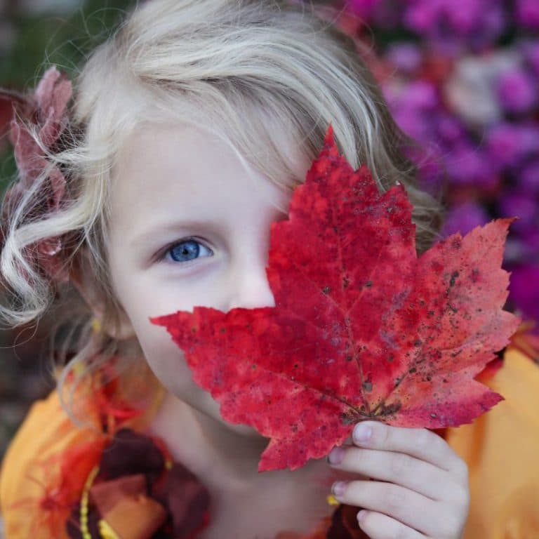 simple fall activities for kids leaf hunt