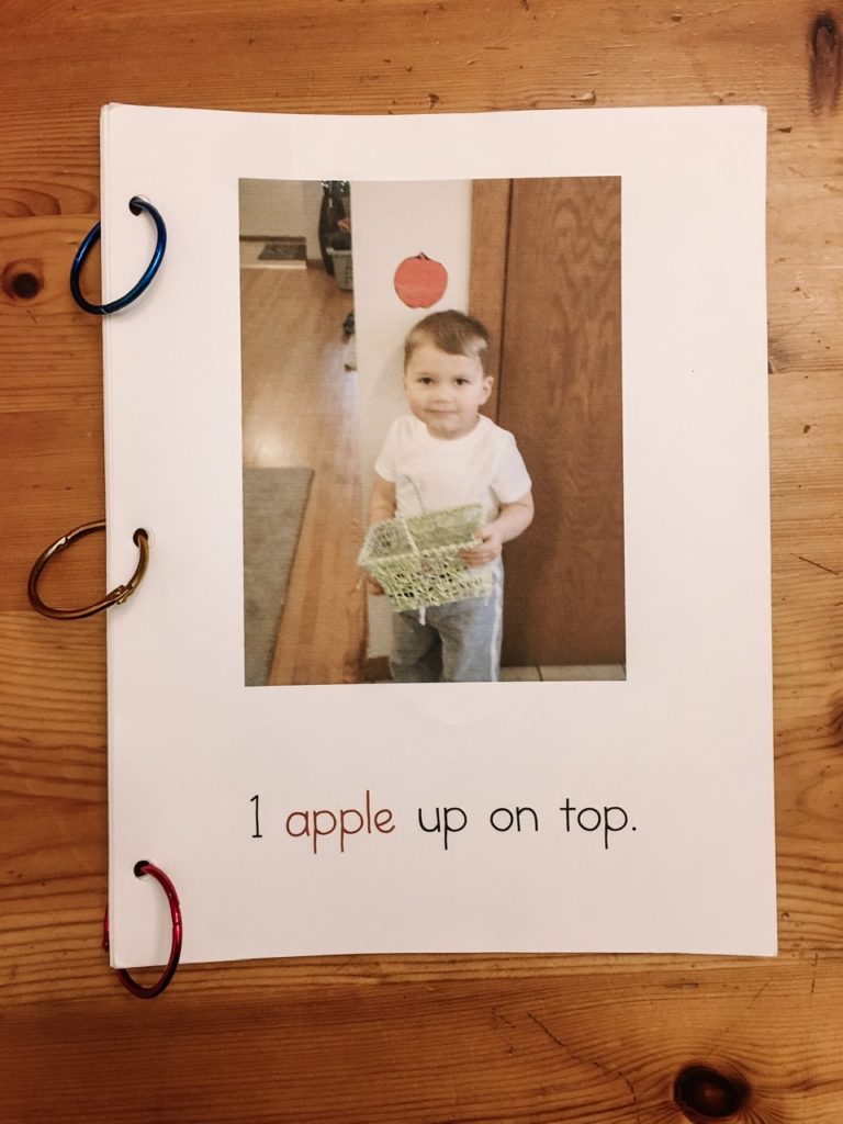 10 apples up on top activity